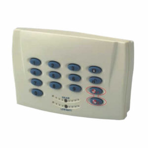 FRIEDLAND | 20240015