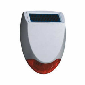 FRIEDLAND | 20240017